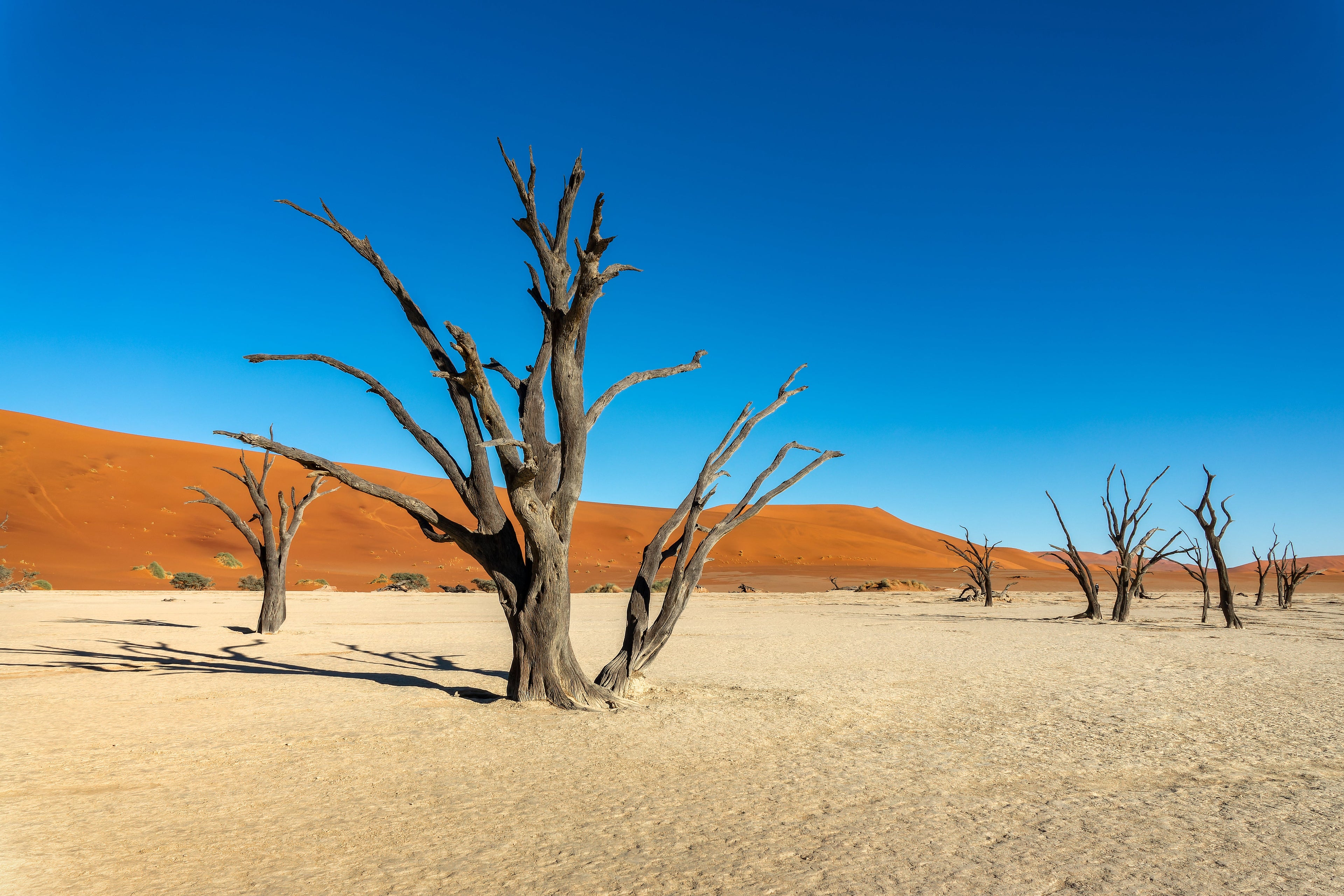 Namibia