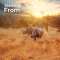 Luxury Safari & Beach Escape