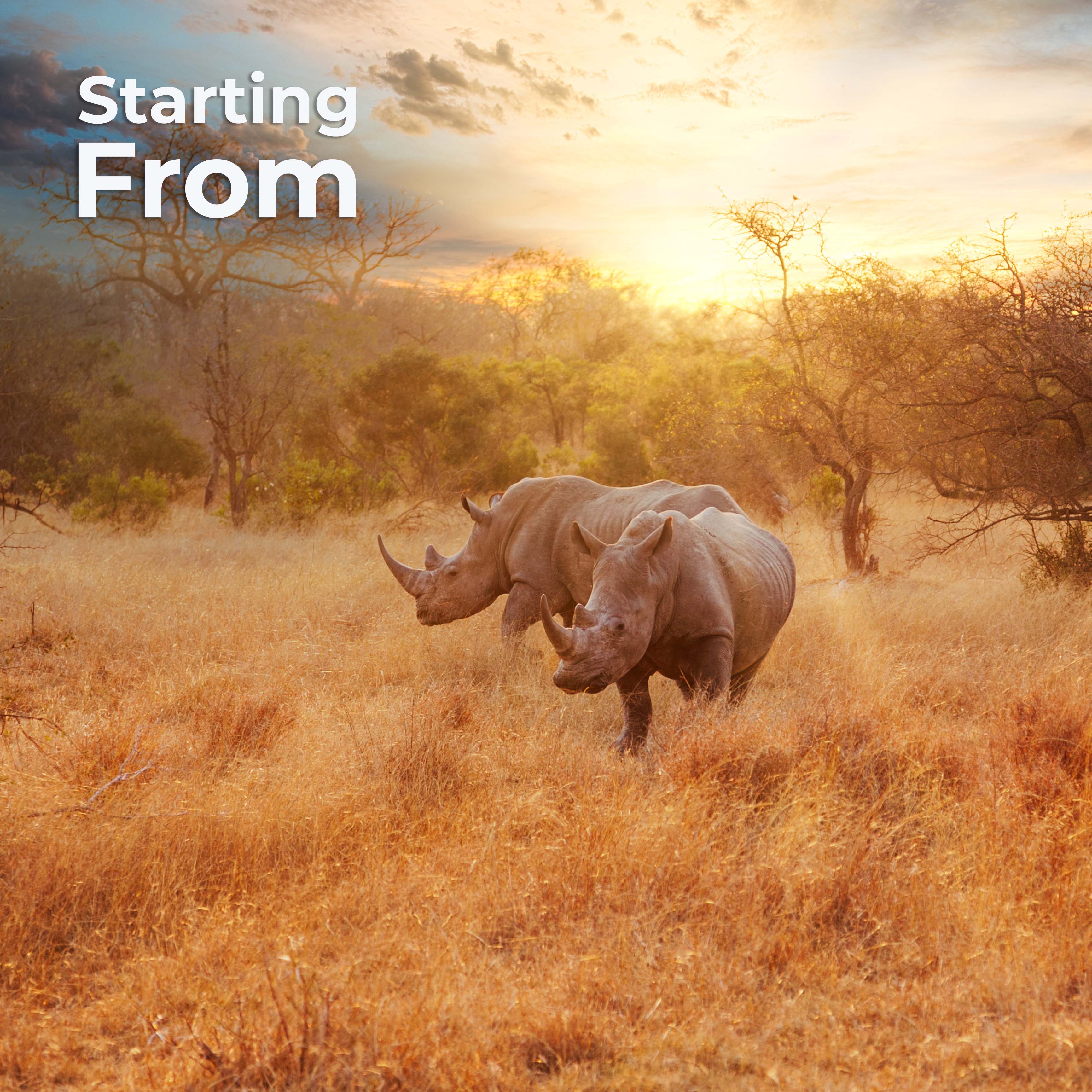 Luxury Safari & Beach Escape
